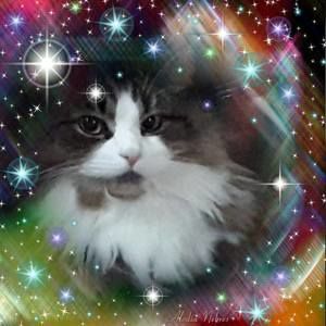 Meet your Posher, Rose-marie